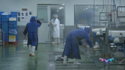 揚(yáng)州市市場(chǎng)監(jiān)督管理局 以“硬核監(jiān)管”與“周到服務(wù)”雙輪驅(qū)動(dòng)，筑牢餐飲安全防線