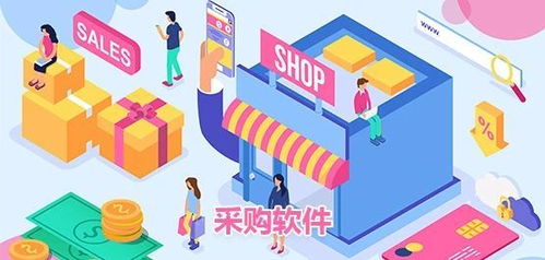 政務(wù)軟件系統(tǒng)采購與信息技術(shù)咨詢服務(wù)指南