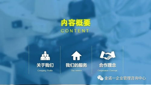 企業(yè)人員管理項(xiàng)目咨詢與信息技術(shù)咨詢服務(wù) 金諾一企業(yè)管理咨詢中心介紹